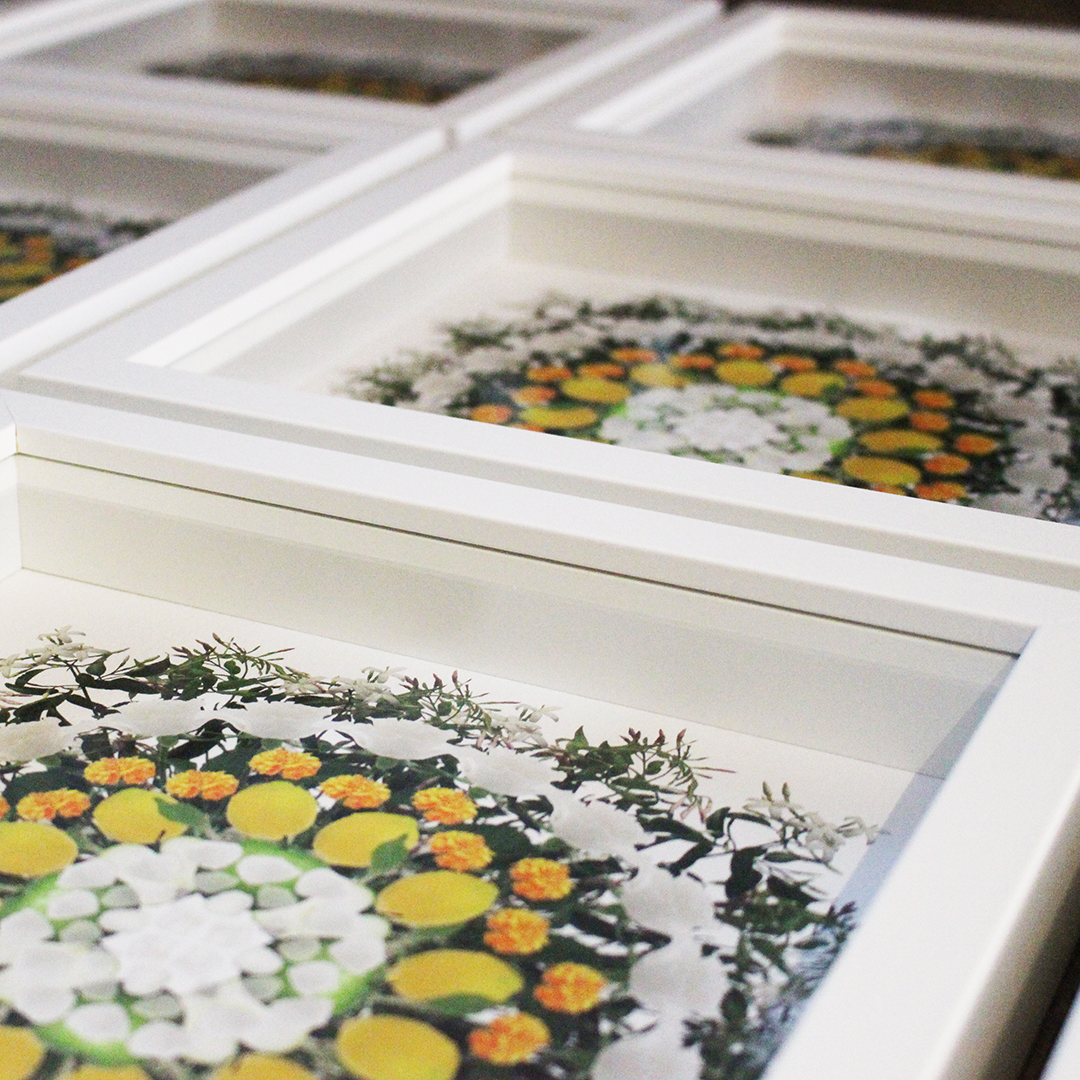 dolce-and-gabbana-frames-bespoke-artwork-citrus.jpg