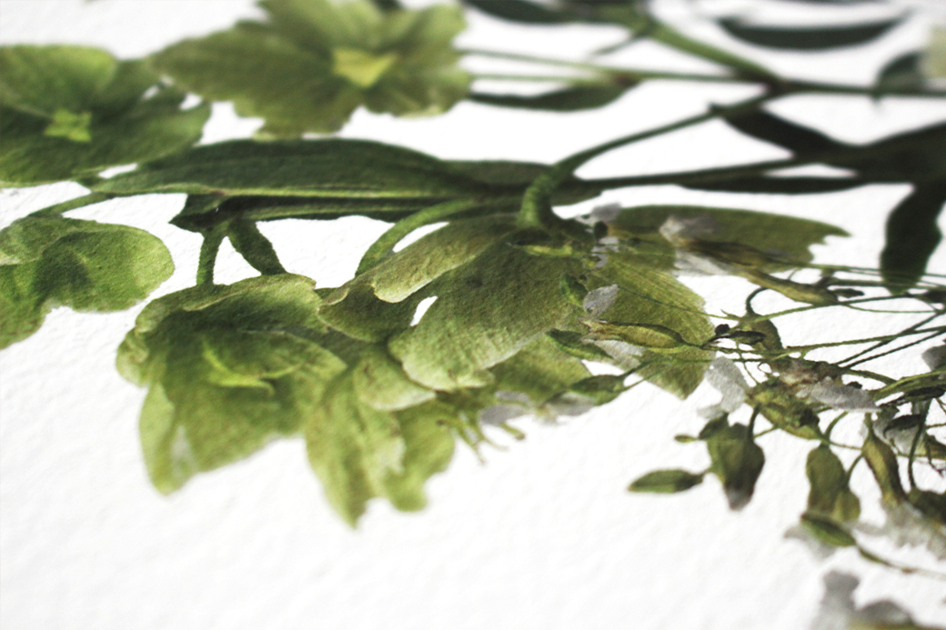 green-hellebore-bouquet-naturalistic-wild-bespoke-print.jpg
